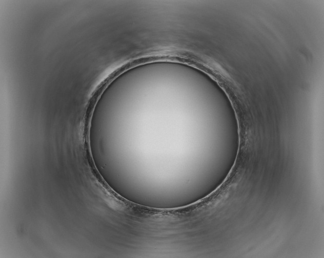 X0000111181216200907081228