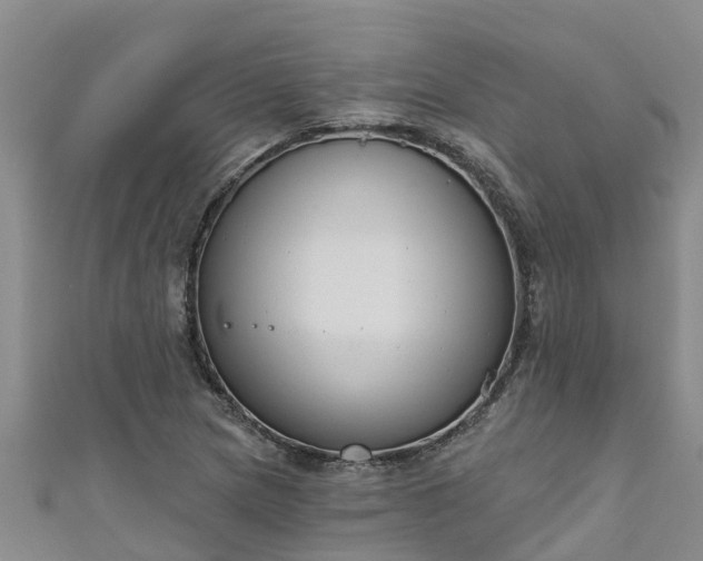 X0000111181217200907081228