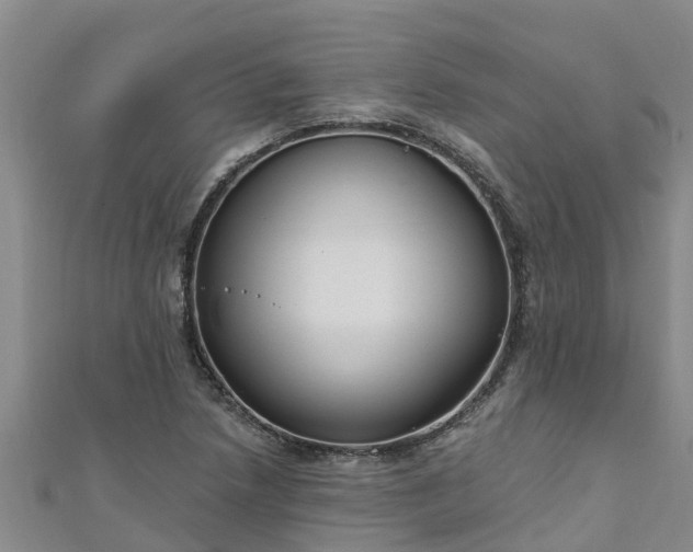 X0000111181218200907081229