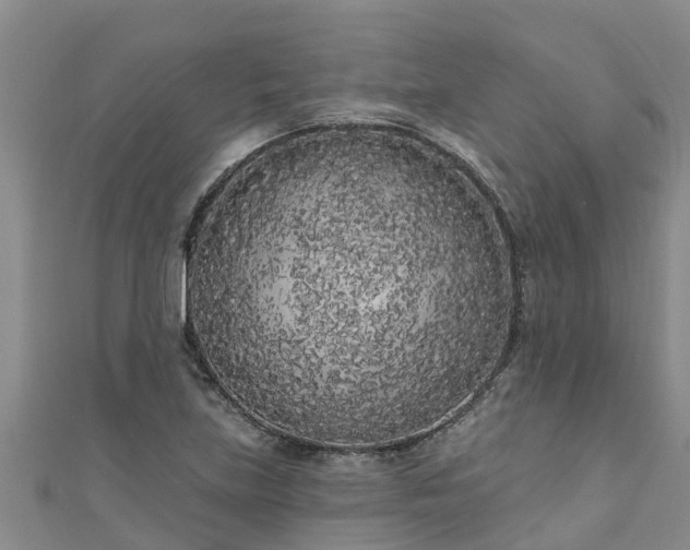 X0000111181219200907081229