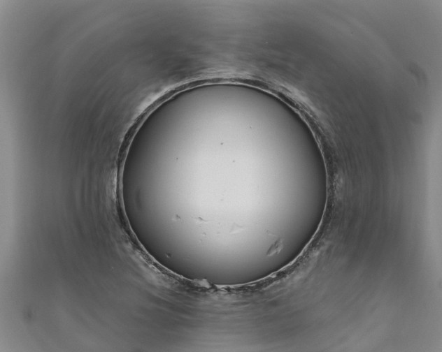 X0000111181220200907081229