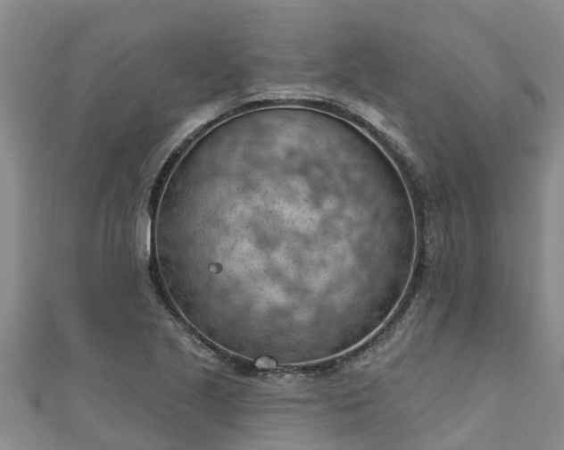 X0000111181221200907081229