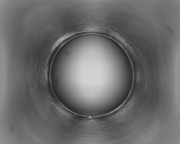 X0000111181222200907081229