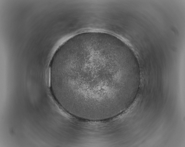 X0000111181223200907081229