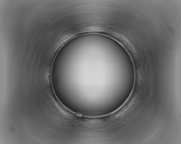 X0000111181225200907081229