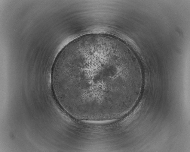 X0000111181226200907081229