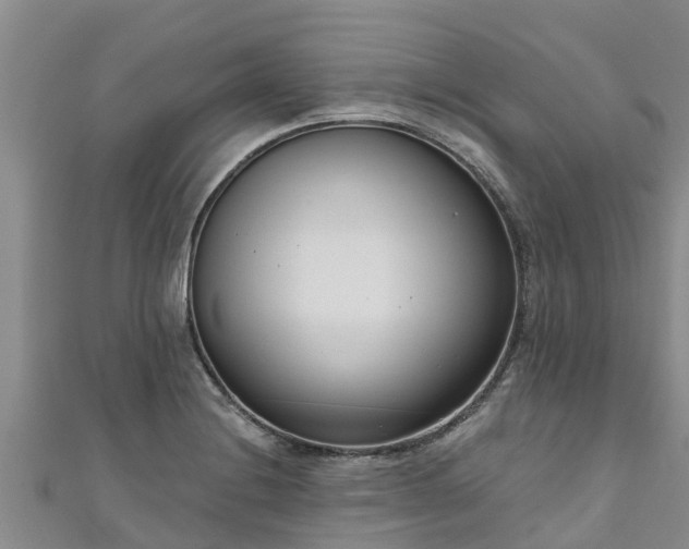 X0000111181228200907081229