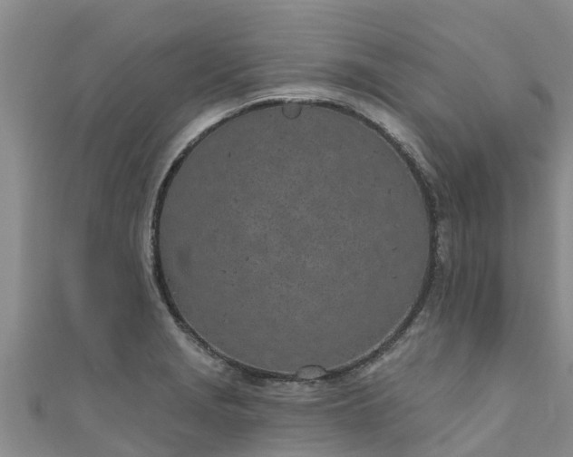 X0000111181229200907081229