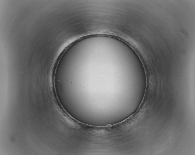 X0000111181230200907081229