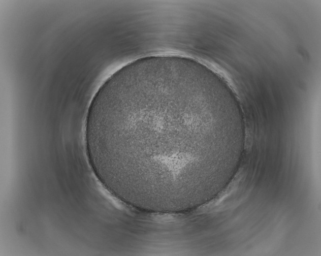 X0000111181231200907081229