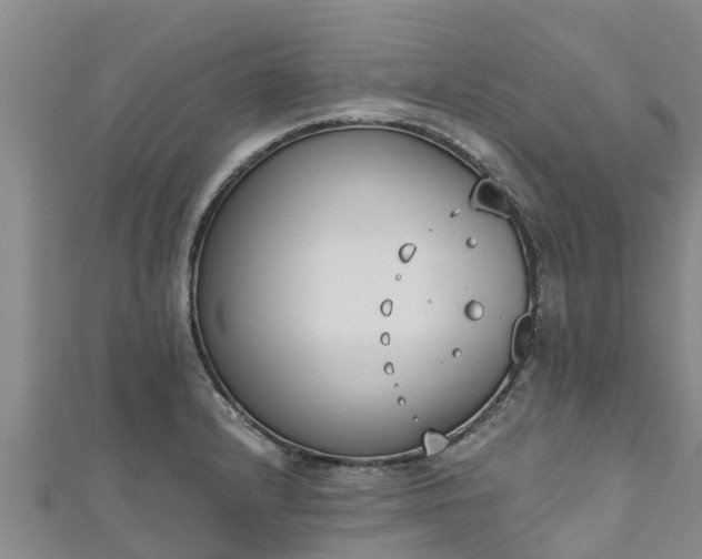 X0000111181232200907081229