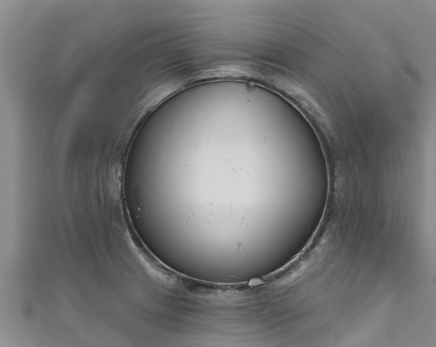 X0000111181233200907081229