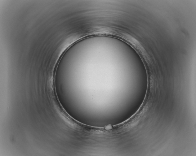 X0000111181234200907081229