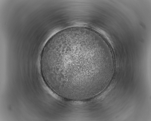 X0000111181235200907081229