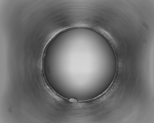 X0000111181236200907081229