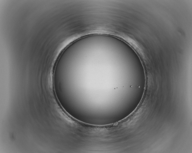 X0000111181238200907081229