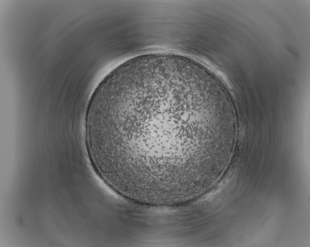 X0000111181239200907081229