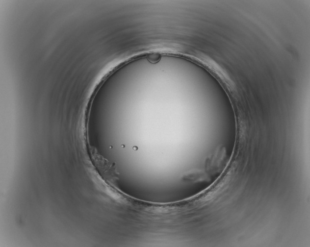 X0000111181240200907081229