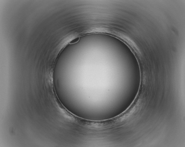 X0000111181241200907081229