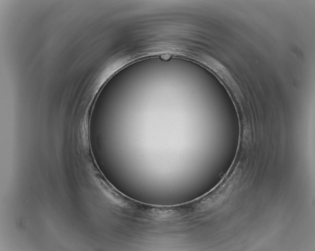 X0000111181242200907081229