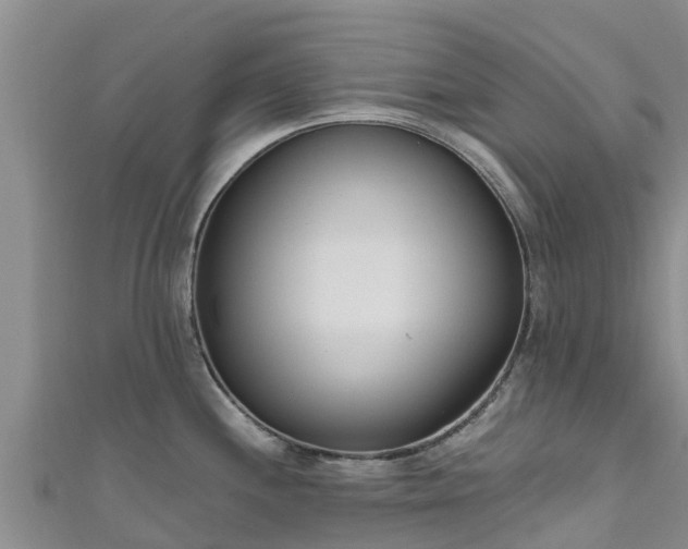 X0000111181244200907081229