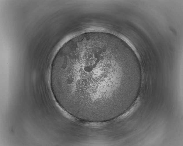 X0000111181245200907081229