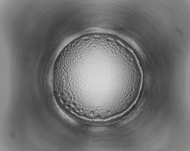 X0000111181247200907081229