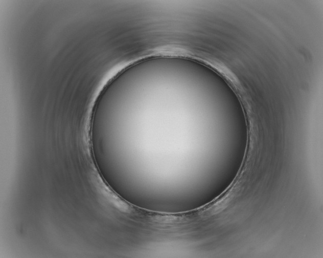 X0000111181248200907081229