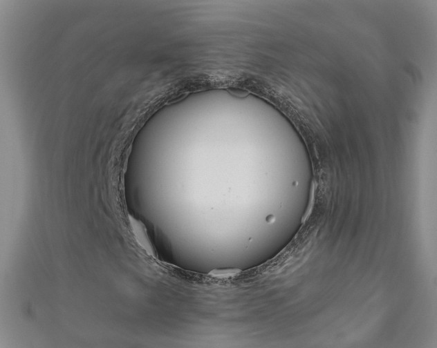 X0000111181249200907081228