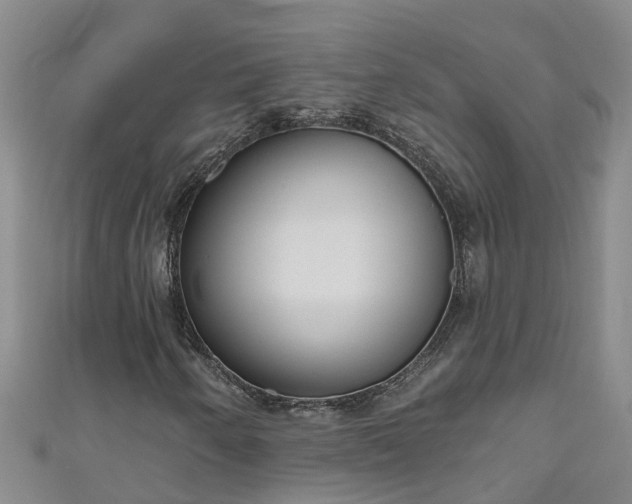 X0000111181250200907081228