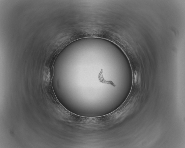 X0000111181251200907081228