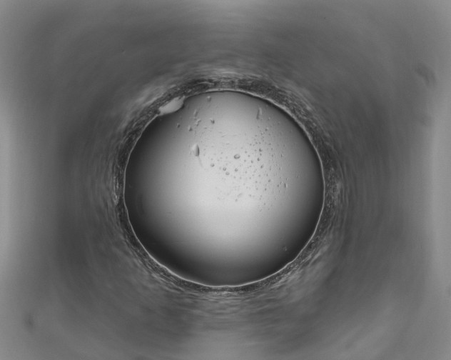 X0000111181253200907081228