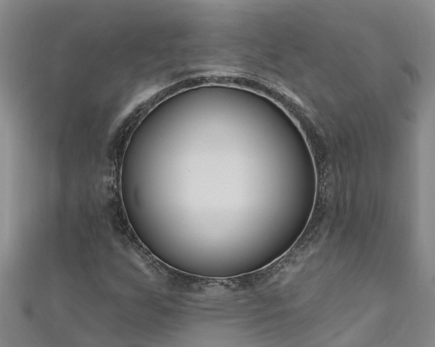 X0000111181255200907081228