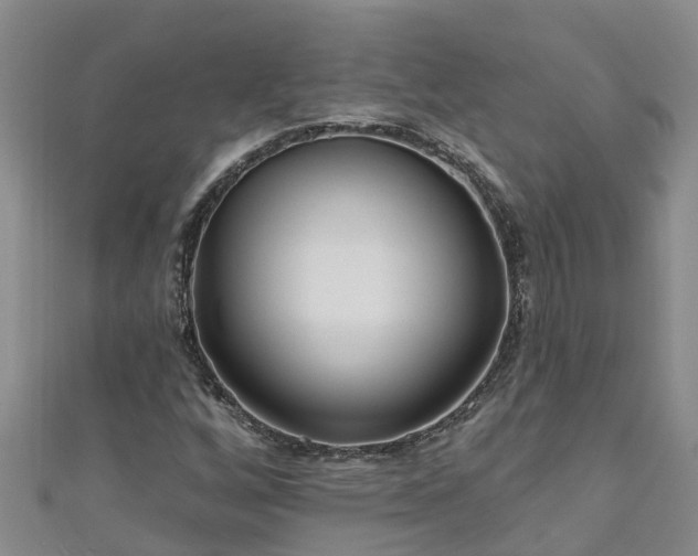 X0000111181256200907081228