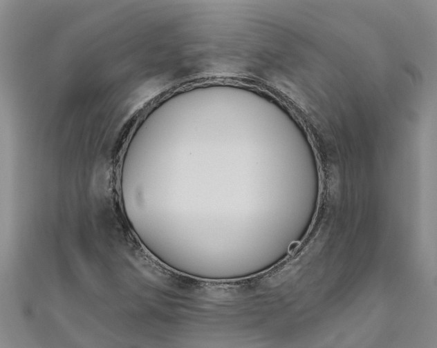 X0000111181258200907081228