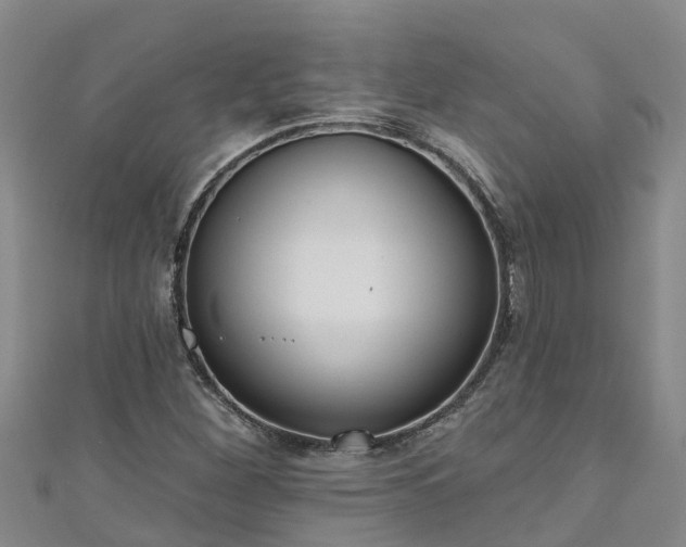 X0000111181260200907081228