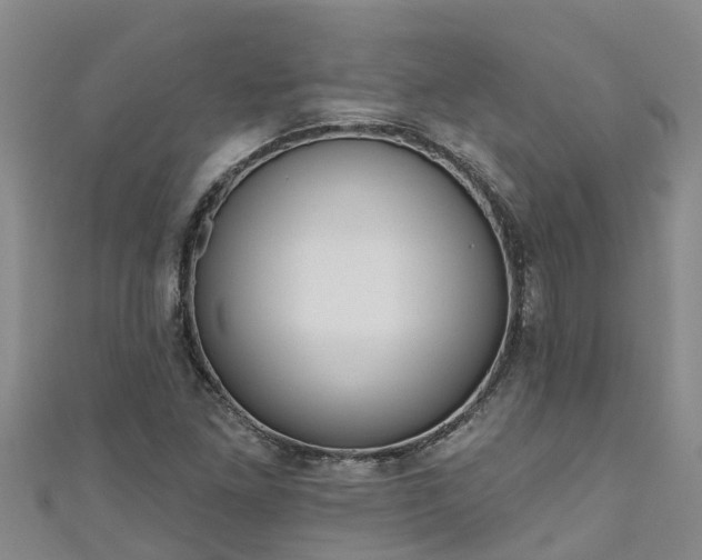 X0000111181261200907081228