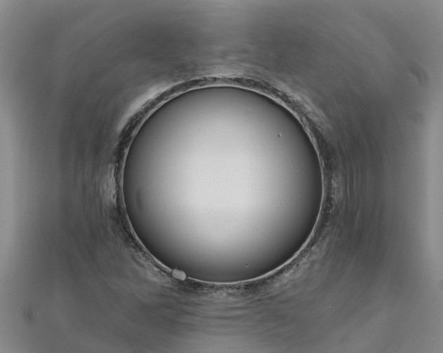 X0000111181262200907081228