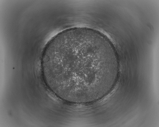 X0000111181263200907081228