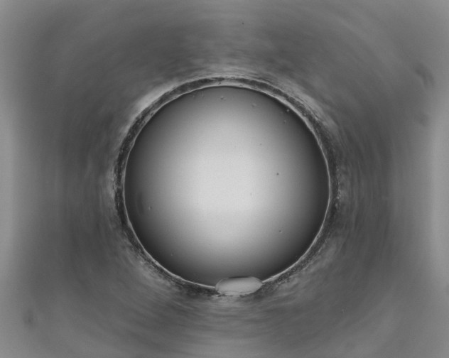 X0000111181264200907081228