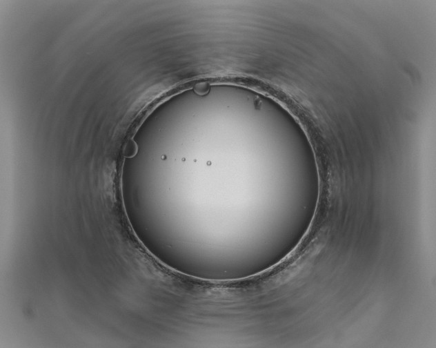 X0000111181265200907081228