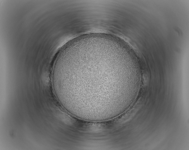 X0000111181266200907081228