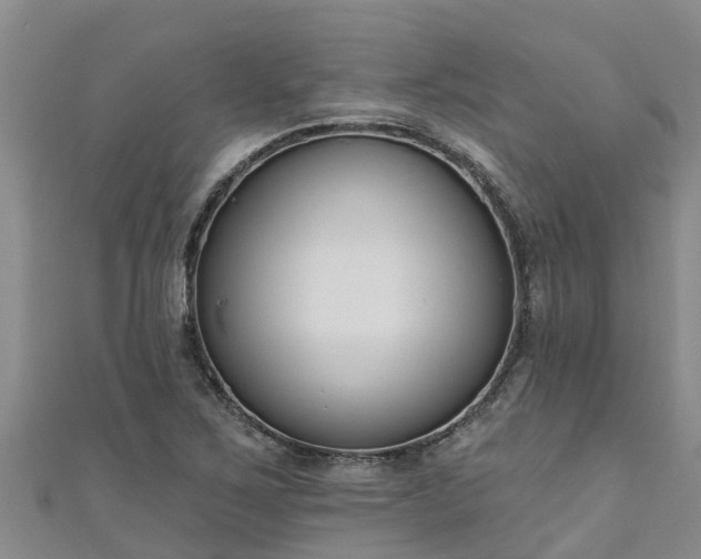 X0000111181267200907081228