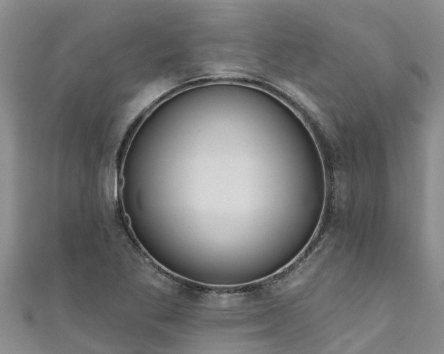 X0000111181269200907081228