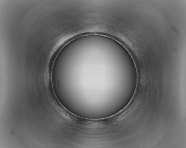 X0000111181270200907081228