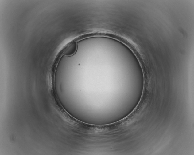 X0000111181271200907081228