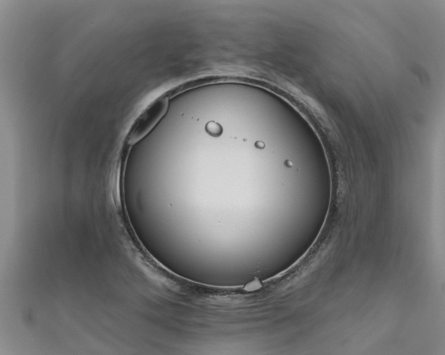 X0000111181272200907081228