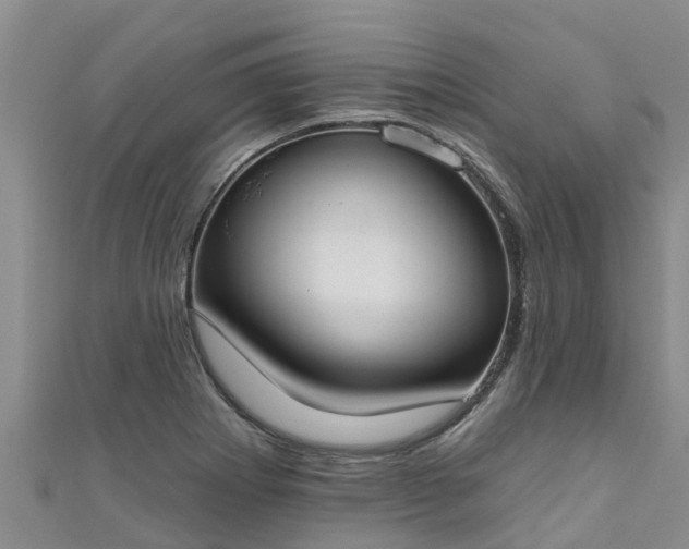 X0000111181273200907081228