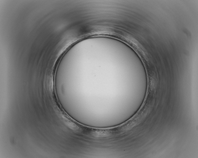 X0000111181274200907081228