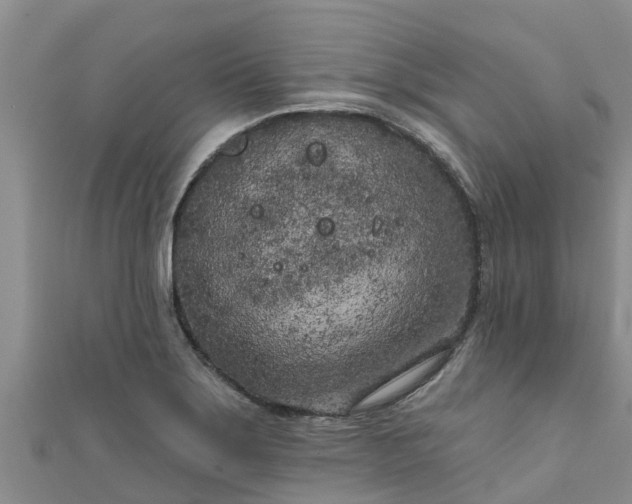 X0000111181275200907081228